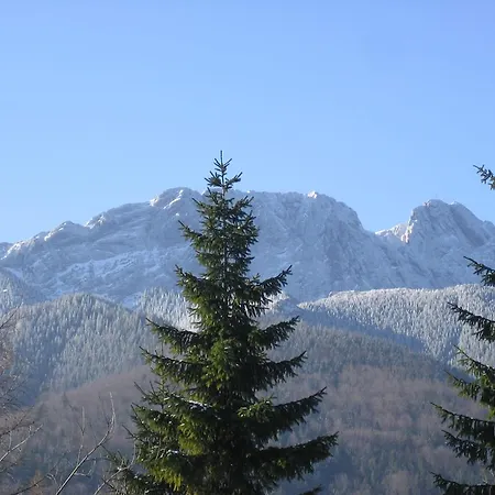 Ozwa Sky Leilighet Zakopane Rom bilde