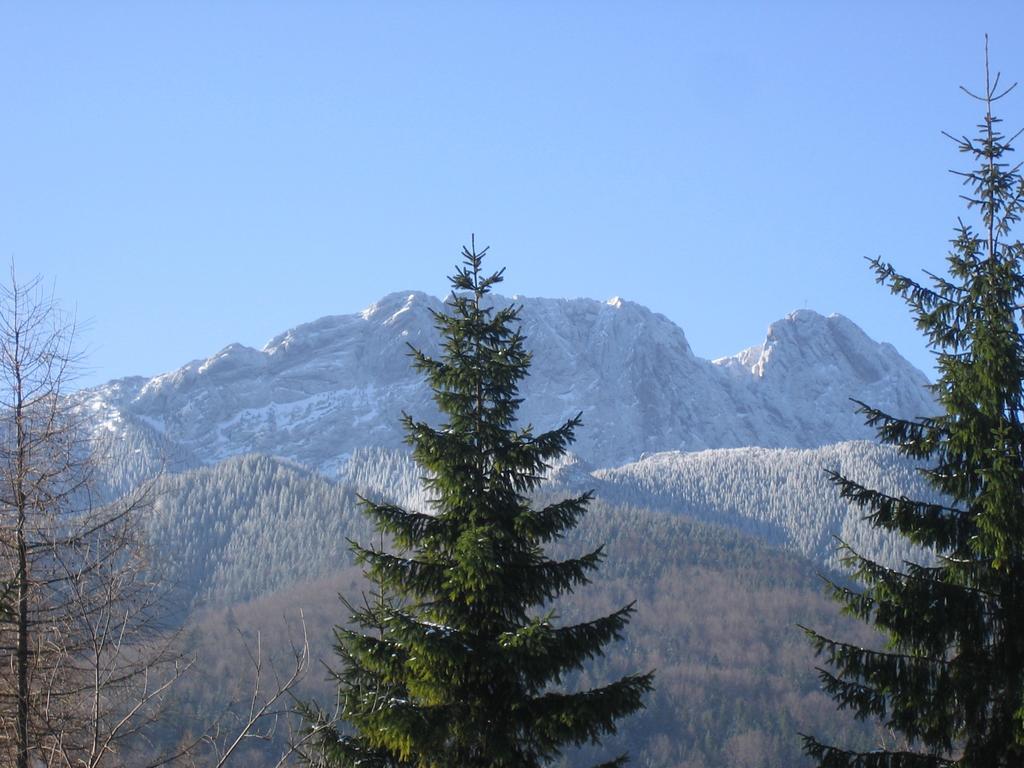 Ozwa Sky Apartment Zakopane
